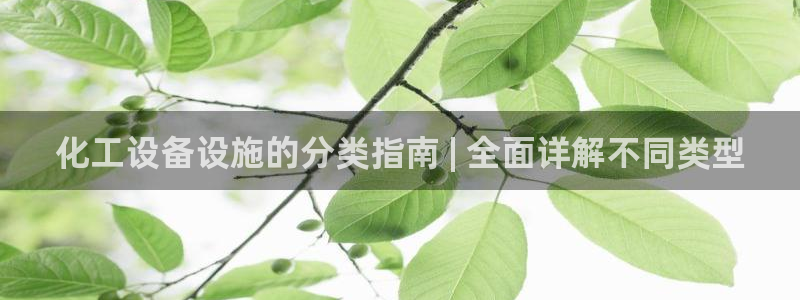 新城平台线路登录不上去了
