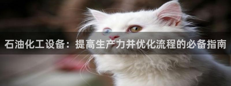 新城平台登录入口官网首页查询