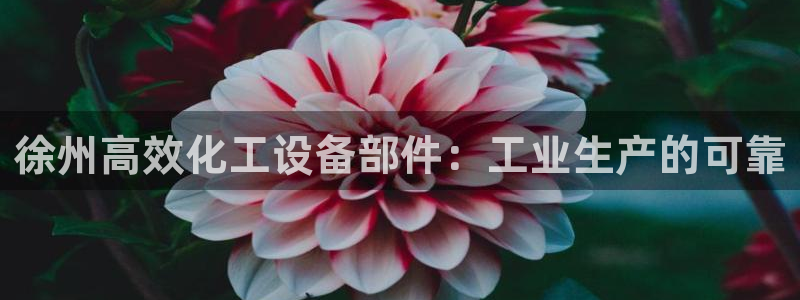 新城平台企业信息查询