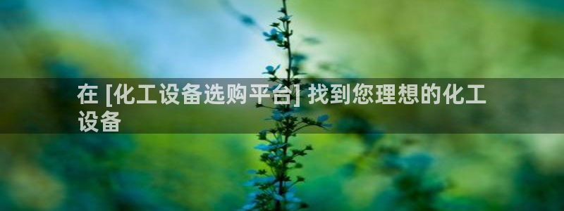 新城平台登录密码忘了