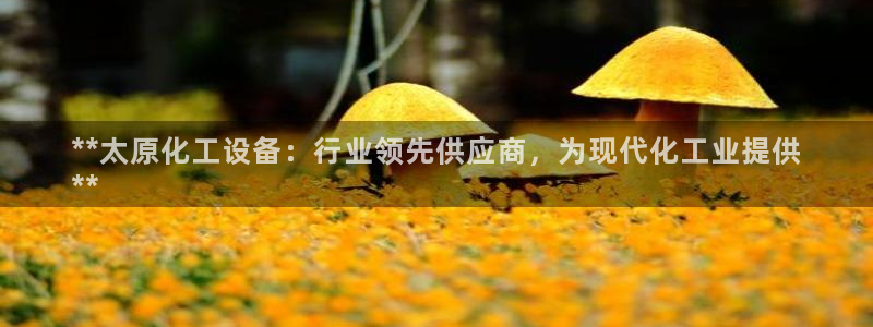 新城平台登录入口官网网址查询