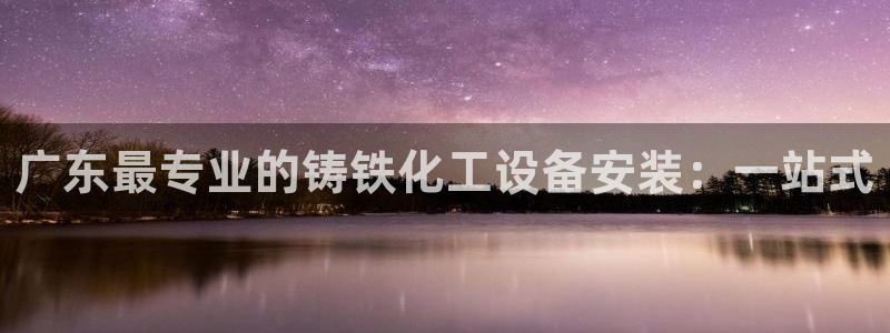 新城平台注册公司流程及费用