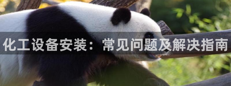 新城平台官网首页登录