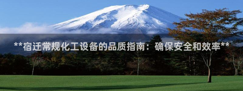 新城平台登录入口官网网址