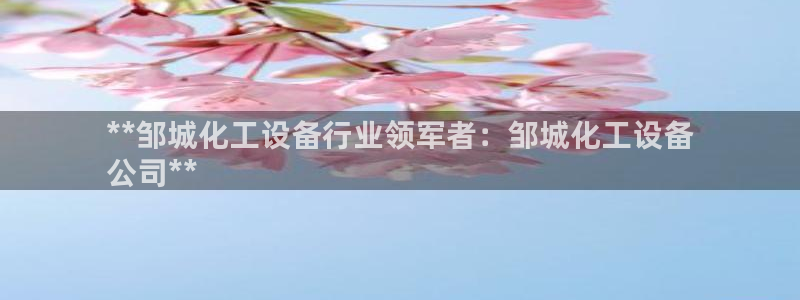 新城平台登陆