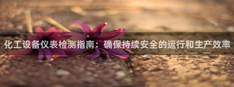 新城平台登录入口官网