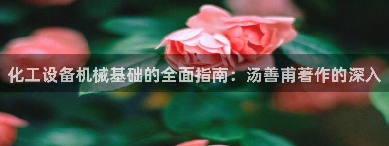 新城平台官网首页入口