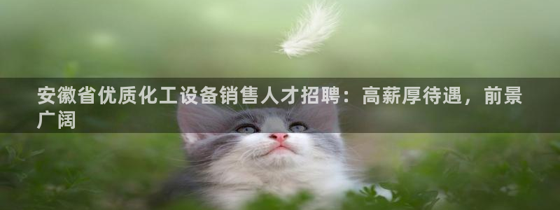 新城平台公司是国企吗：安徽省优质化工设备销售人才招