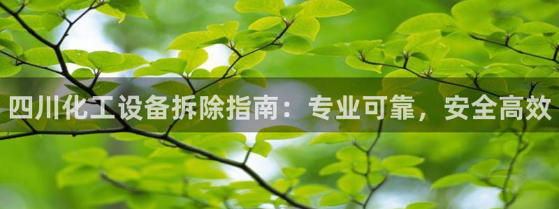 新城平台线路登录不上去怎么回事呀：四川化工设备拆除