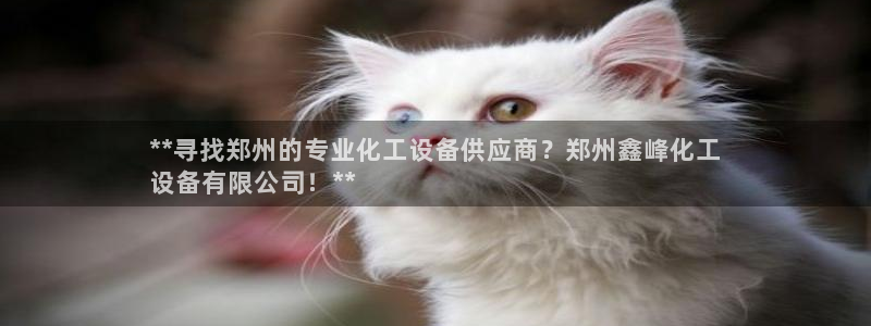 新城平台登录入口官网