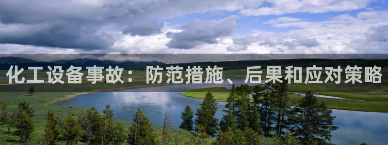 新城平台公司