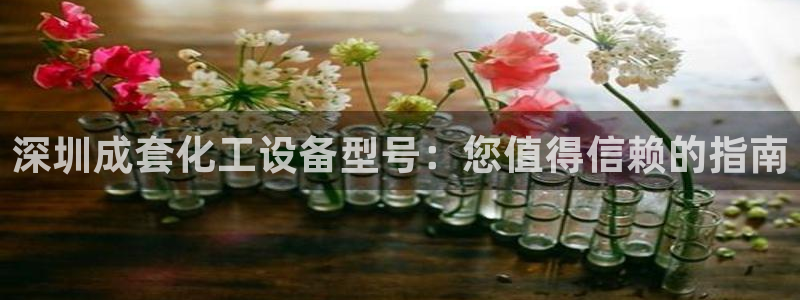 新城平台登录：深圳成套化工设备型号：您值得信赖的指