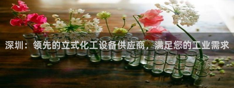 新城平台足7O777：深圳：领先的立式化工设备供应