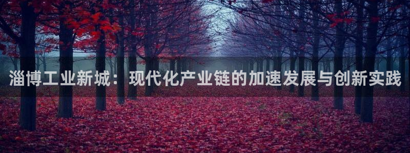 新城平台负责人