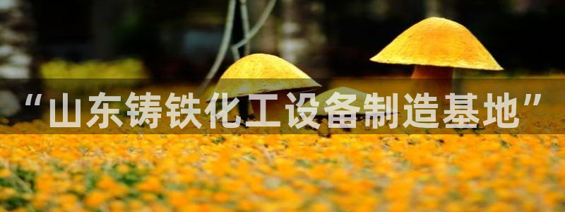 新城平台登录入口官网网址：“山东铸铁化工设备制造基