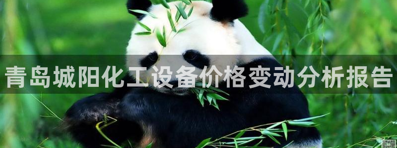 新城平台登录入口