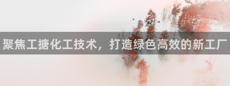 新城平台某7O777：聚焦工搪化工技术，打造绿色高