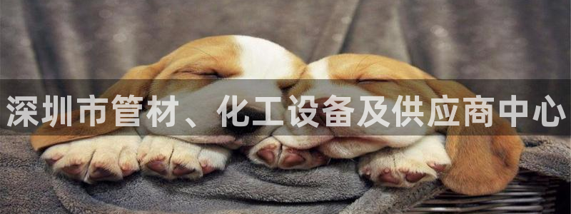 新城平台登录入口官网首页查询