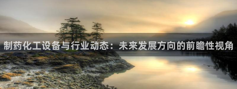 新城平台线路登录不上去了怎么回事