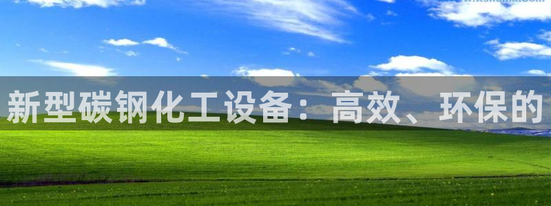 新城平台登录入口官网查询信息